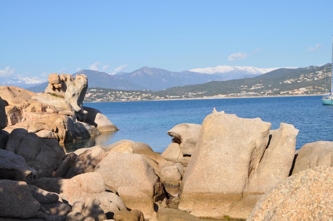 Appartement T2 Porticcio Vue Sur Mer Dış mekan fotoğraf