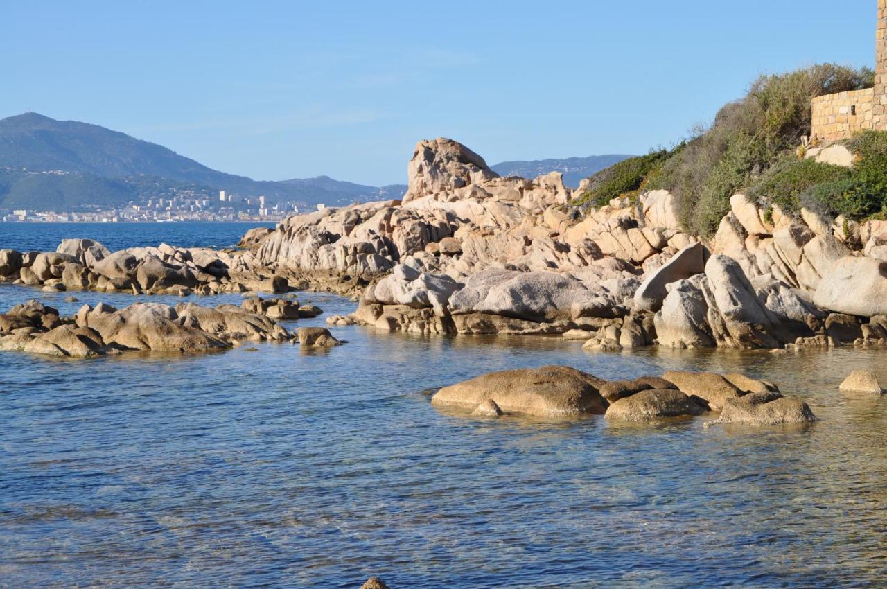 Appartement T2 Porticcio Vue Sur Mer Dış mekan fotoğraf